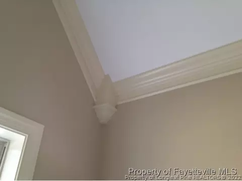 101 Pointer Dr, Angier, NC 27501 photo 4