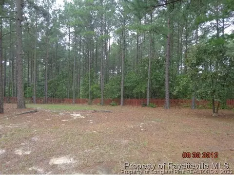 334 Senter Ln, Bunnlevel, NC 28323 photo 3