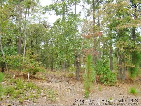 103 Kirkhill Ct, Southern Pines, NC 28387 photo 5