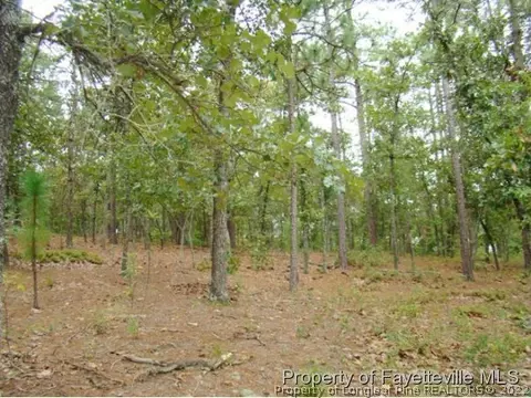 103 Kirkhill Ct, Southern Pines, NC 28387 photo 4