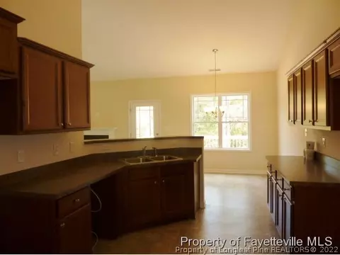 431 Juno Dr, Broadway, NC 27505 photo 7