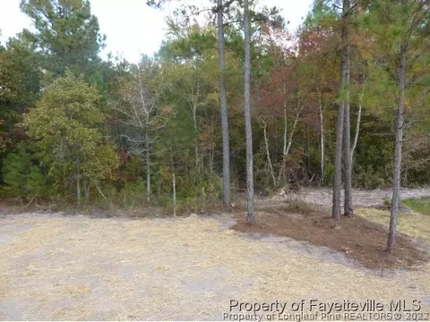 431 Juno Dr, Broadway, NC 27505 photo 17
