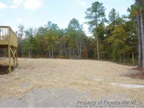431 Juno Dr, Broadway, NC 27505 photo 16