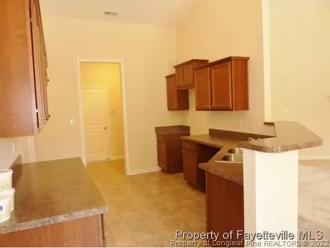 431 Juno Dr, Broadway, NC 27505 photo 5
