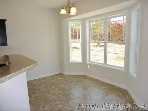 542 Juno Dr, Broadway, NC 27505 photo 11