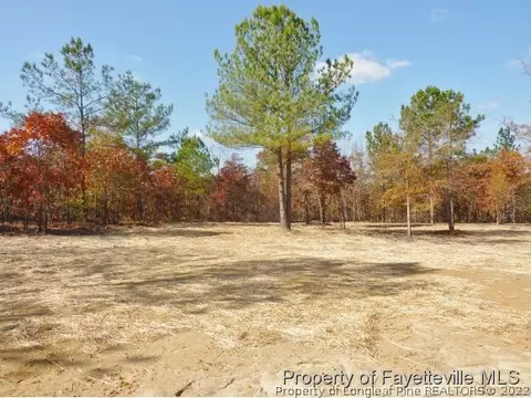 542 Juno Dr, Broadway, NC 27505 photo 20