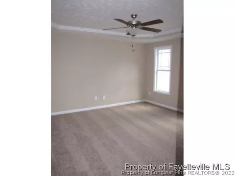 298 Tower Dr, Broadway, NC 27505 photo 15