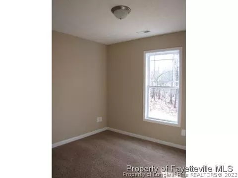298 Tower Dr, Broadway, NC 27505 photo 11