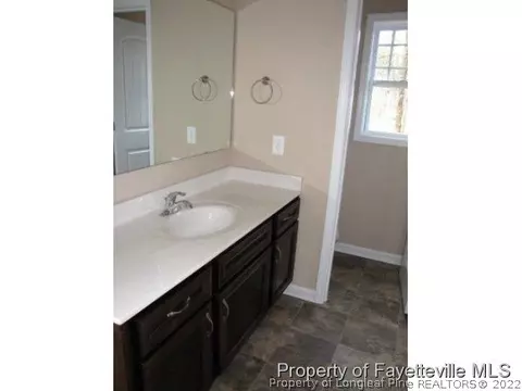 298 Tower Dr, Broadway, NC 27505 photo 17