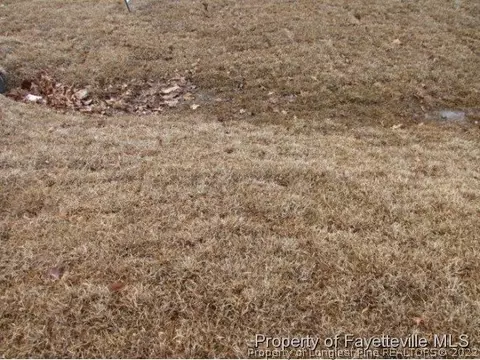 298 Tower Dr, Broadway, NC 27505 photo 12