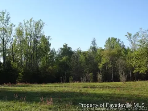 205 Koerner Ln, Erwin, NC 28339 photo 9