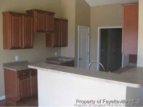 45 Eisenhower Ct, Broadway, NC 27505 photo 5