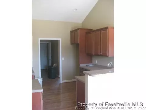 45 Eisenhower Ct, Broadway, NC 27505 photo 6