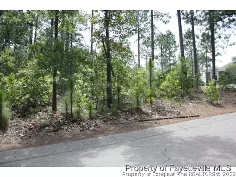 216 National Dr, Pinehurst, NC 28374 photo 6