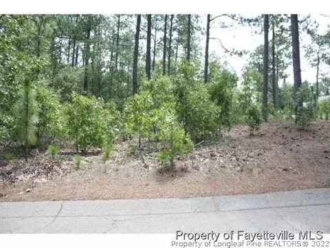 216 National Dr, Pinehurst, NC 28374 photo 1