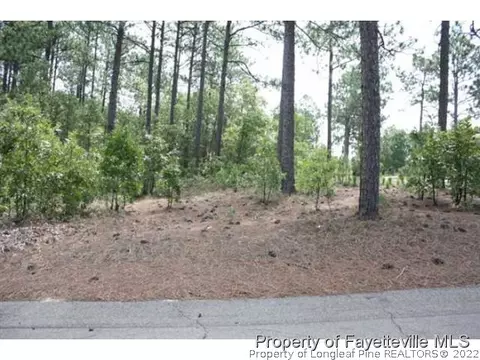 216 National Dr, Pinehurst, NC 28374 photo 5
