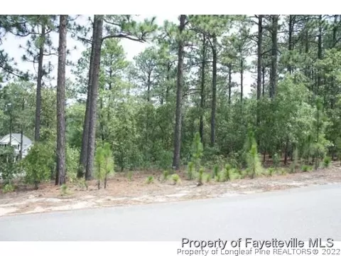 216 National Dr, Pinehurst, NC 28374 photo 2