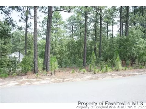 216 National Dr, Pinehurst, NC 28374 photo 3