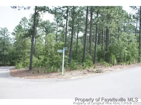 216 National Dr, Pinehurst, NC 28374 photo 4