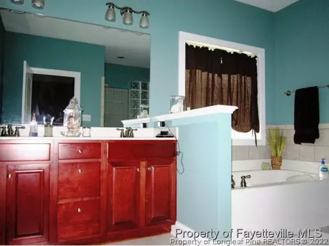 350 Maynard Lake Rd, Erwin, NC 28339 photo 18