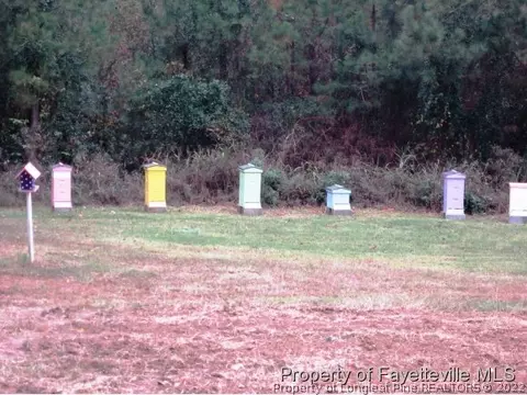 350 Maynard Lake Rd, Erwin, NC 28339 photo 22
