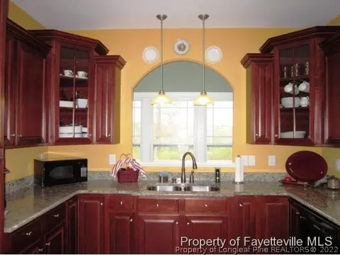 350 Maynard Lake Rd, Erwin, NC 28339 photo 15