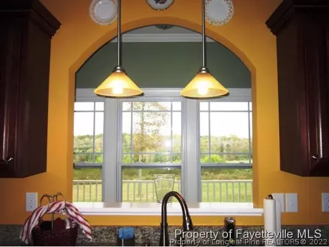 350 Maynard Lake Rd, Erwin, NC 28339 photo 16