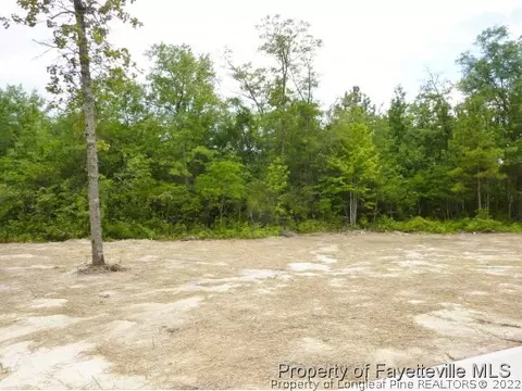 434 Juno Dr, Broadway, NC 27505 photo 14