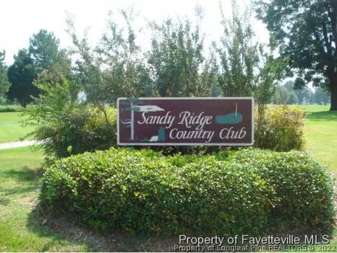 131 Sandy Ridge Rd, Dunn, NC 28334 photo 13