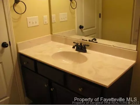 415 415 Juno Dr, Broadway, NC 27505 photo 17