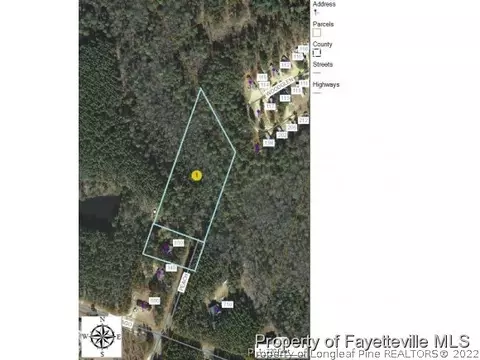350 N Peach St, Pinebluff, NC 28373 photo 8