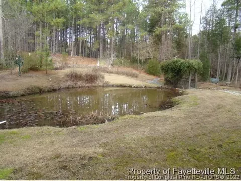 350 N Peach St, Pinebluff, NC 28373 photo 24