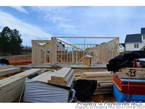53 Arbor Loop, Angier, NC 27501 photo 1