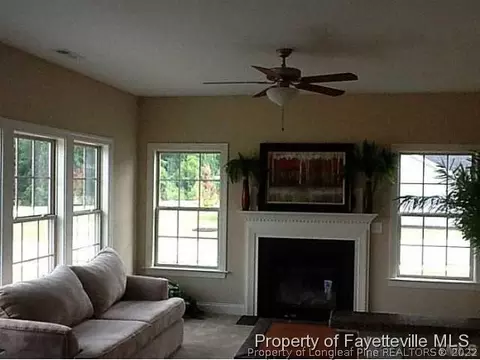 53 Arbor Loop, Angier, NC 27501 photo 9