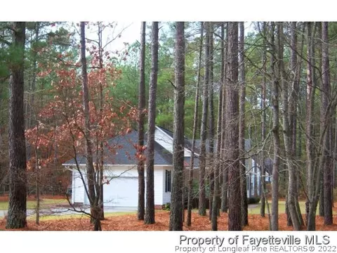 30120 Deercroft Dr, Wagram, NC 28396 photo 13