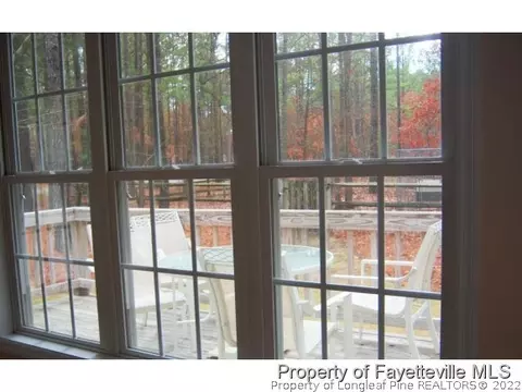 30120 Deercroft Dr, Wagram, NC 28396 photo 11