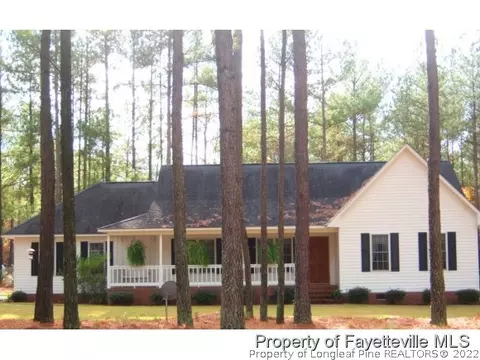 30120 Deercroft Dr, Wagram, NC 28396 photo 1