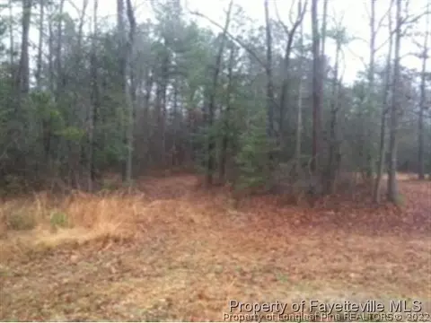 275 Peanut Ln, Cameron, NC 28326 photo 1