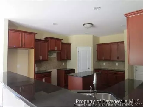 115 Shellbark Dr, Spring Lake, NC 28390 photo 9