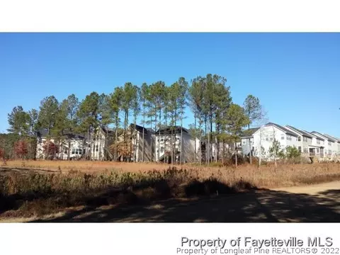 155 Pine Hawk Dr, Spring Lake, NC 28390 photo 23