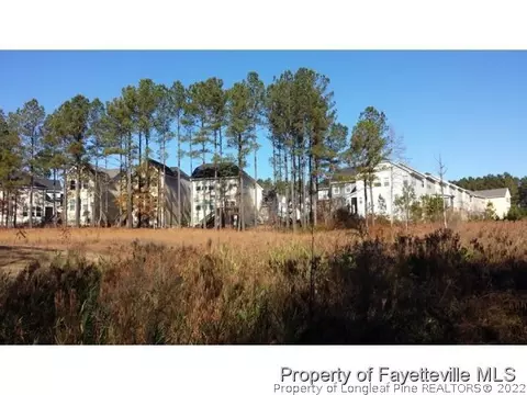 155 Pine Hawk Dr, Spring Lake, NC 28390 photo 6