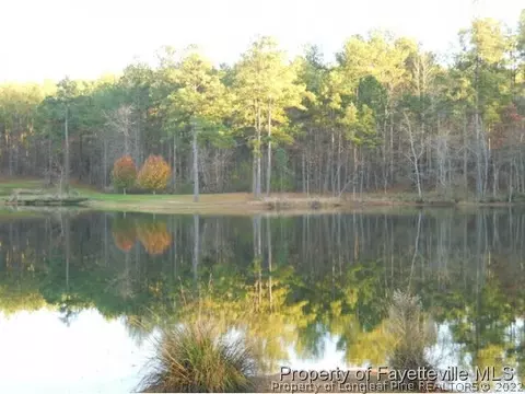 155 Pine Hawk Dr, Spring Lake, NC 28390 photo 20