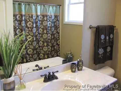 379 Juno Dr, Broadway, NC 27505 photo 16