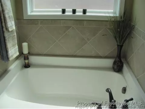 379 Juno Dr, Broadway, NC 27505 photo 13