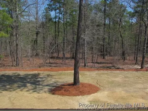 379 Juno Dr, Broadway, NC 27505 photo 20