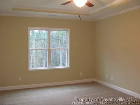 379 Juno Dr, Broadway, NC 27505 photo 10