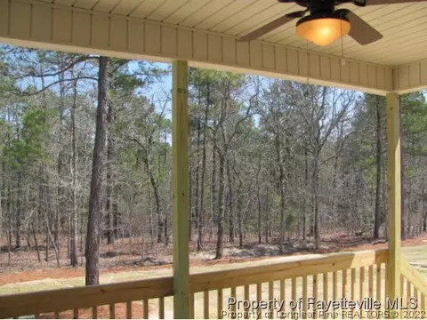 379 Juno Dr, Broadway, NC 27505 photo 24