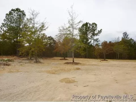 520 Juno Dr, Broadway, NC 27505 photo 17
