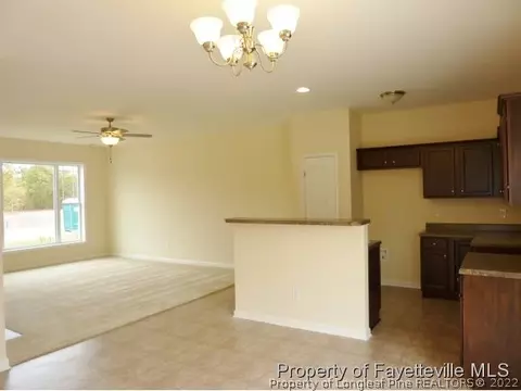 520 Juno Dr, Broadway, NC 27505 photo 3