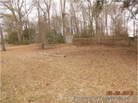 113 Fourth St, Hamlet, NC 28345 photo 2